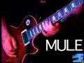 Gov't Mule- Thorazine Shuffle LIVE-6-30-1999