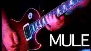 Gov't Mule- Thorazine Shuffle LIVE-6-30-1999