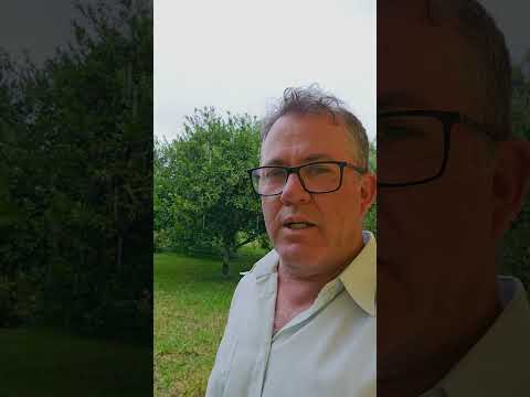 Por enquanto, chuva calma registrada nesta terça feira em São Lourenço do Sul/RS.