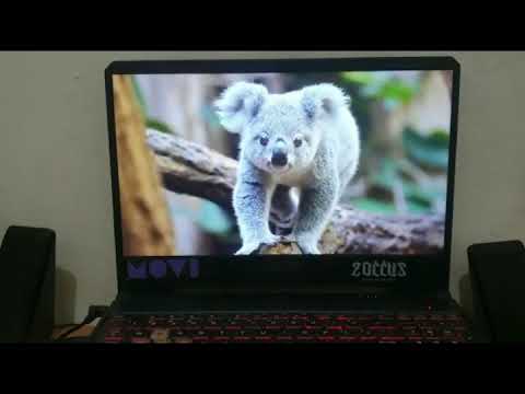 Video