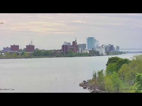 Detroit River Webcam in Michigan live webcam