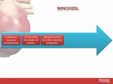 La hipertensión ha ido para siempre Papazol de la presión intracraneal