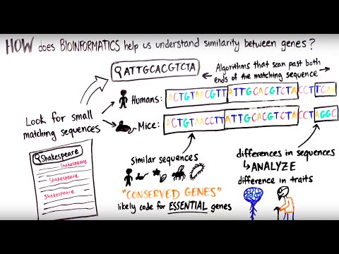 What is Bioinformatics?