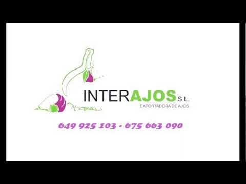 E M D ACEUCHAL- U D MONTIJO