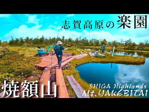 【焼額山】高層湿原とワタスゲ天国の志賀高原信州百名山を登山【志賀高原】