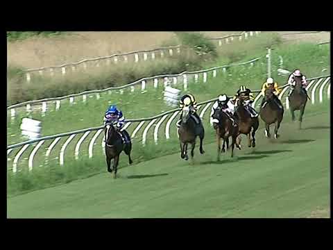 Napoli Galoppo 07/07/2021 - 2ª corsa