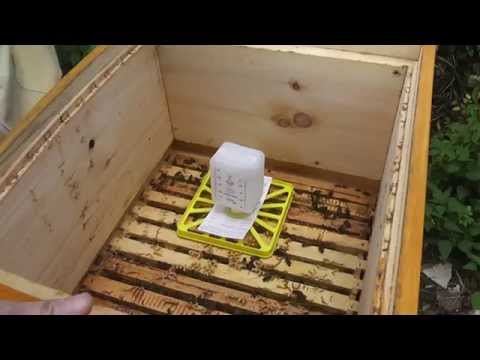 Easy Imkern - Ameisensäurebehandlung mit dem Liebig-Dispenser