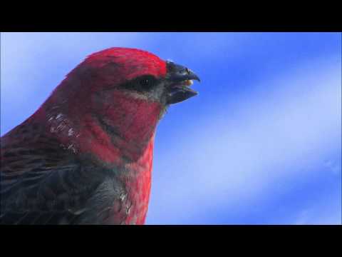 Phunpark   Noon  Original Mix  ★ ⓉⓇⒶⓃⒸⒺ ⒶⓁⓁ ⓈⓉⒶⓇⓈ ★   Tribute to Nora