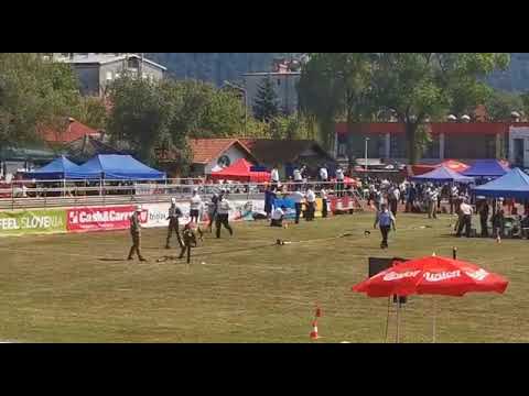 St. Martin im Mühlkreis 1, Olympic games Celje 2022, mistake of C1 that was not judged