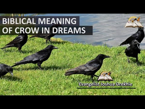 Biblical Meaning of CROW in Dream - Crows (Raven) Symbolism