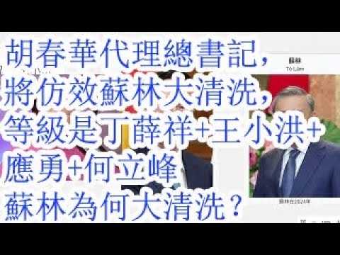 胡春华代理总书记，将仿效苏林大清洗，级别是丁薛祥+王小洪+应勇+何立峰，越共总书记苏林为何大清洗？