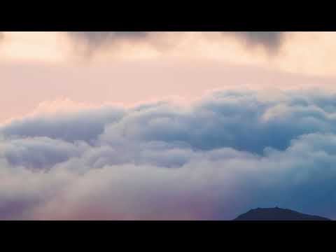 Eye of the Falcon - Jozeque