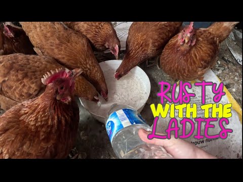 レディースとラスティー！