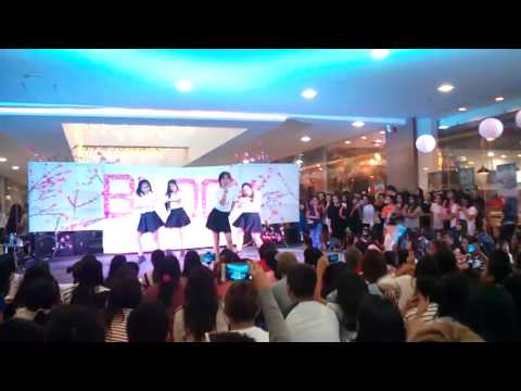 [CKC BLOOM] IB - BlackPink Remix