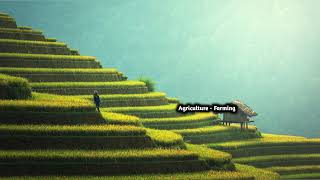 Download lagu HIGH-TECH TILLING EQUIPMENT PREPARING RARE AGRICULTURAL LAND! mp3