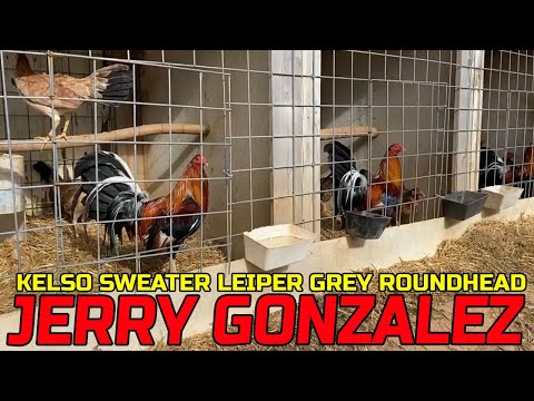 Jerry Gonzalez SAG FARMS - Big Farm in Arkansas