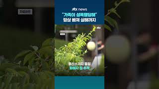 "가족이 성폭행당했다" 망상…출소 후 무고한 시민 살해 #JTBC #Shorts
