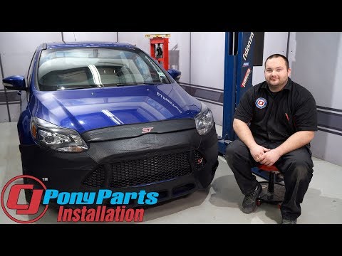 Colgan Custom Carbon Fiber Cover w/o Plate Hole Install Gives your 2015-18 Focus ST Stylish Coverage