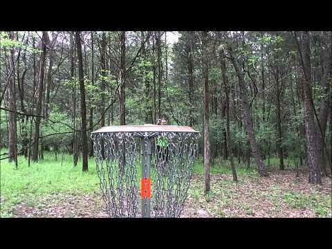 Reptilian Disc Golf Scale & Serpent