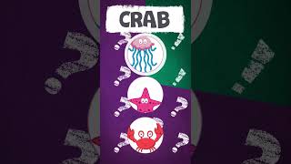 Quizy Easy English! Learn English - UNDERSEA ANIMALS