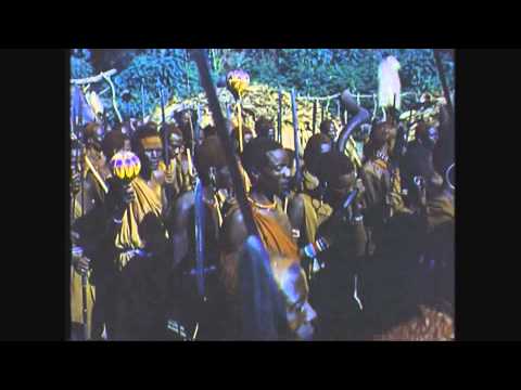 Ocelote Rojo - Tenochtitlan Sunbeam Gun