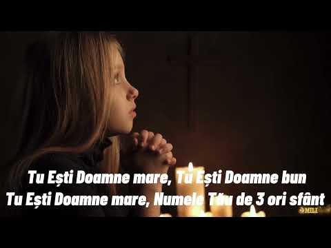 @MILIDINBARBULESTI - TU SAN E LUMINA ( Video Official )