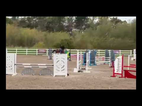 Valse De Diamant show video 24th October double clear