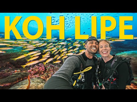 Scuba Diving in Koh Lipe: The ULTIMATE GUIDE! 🇹🇭