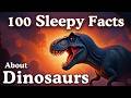 The Most Relaxing Dinosaur Facts To Fall Asleep To