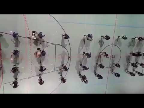 Lucerne Marching Band – Polizeishow Hamburg Vogelperspektive