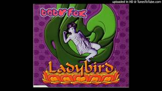 Baby Fox - Ladybird (Cujo Remix)