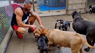 What happens when Jordan meets his puppies for the first time