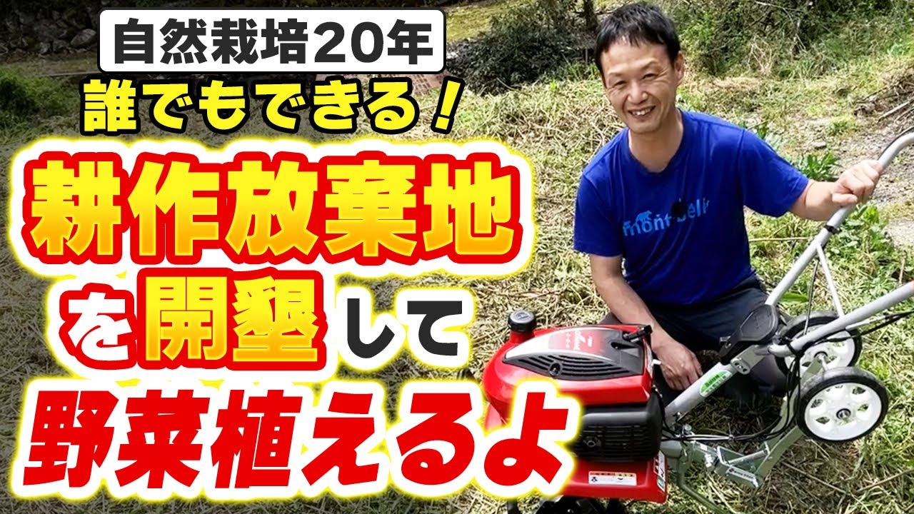 【自然栽培347】耕作放棄地を畑化開始!初心者必見です!