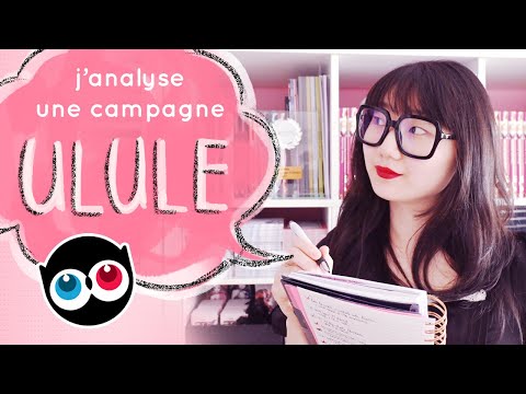 Campagne de financement participatif Ulule à succès ✨ Etude de Cas réel