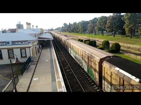 SCT006, SCT004, SCT013 on SCT Logistics 3BM9 5/5/22