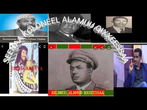 SEENAA GOTTAA OROMOO KOLONEEL ALAMUU QIXXEESSAA