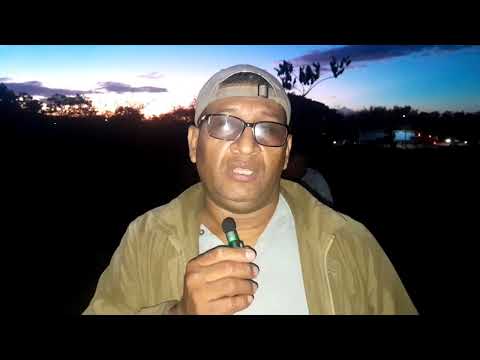 M@ere por piquetes de abejas africanizadas y sobrevivieron cuatro en Masaya