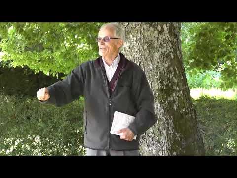 20170813 Kyrkogårdsvandring med Georg Welin