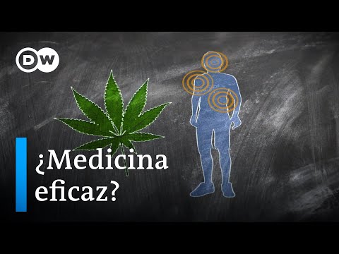 Cannabis, a controversial drug | DW In shape