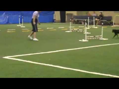 7-4-2010 Linda and Lucy, Jumpers