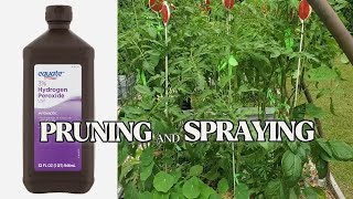Garden Chores Pruning and Spraying