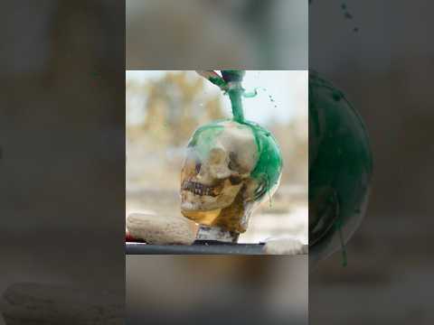 CO2 Injected WASP Knife VS Zombie Head