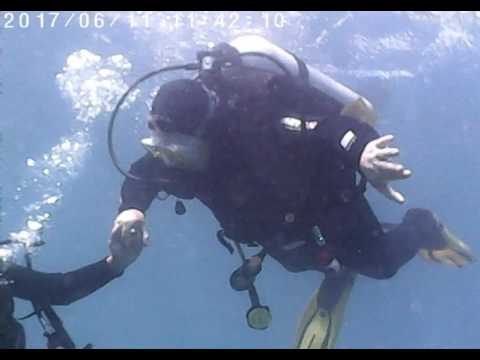 Videos del Playaolid 4★ en Adeje, EspañaVer MásVerPrecios14CerrarConsulta por Whatsapp 🇦🇷BookingTripadvisorExpediaAgodaTripSkyscannerDespegarKayakHotelesDestiniaTrivagoTurismocityLastminuteTui