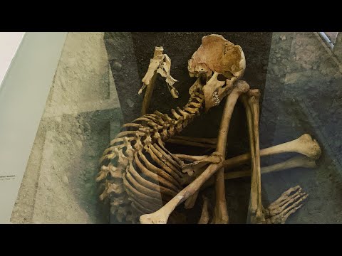 Museu de Arte e História de Genebra Museu de arte e história de Genebra