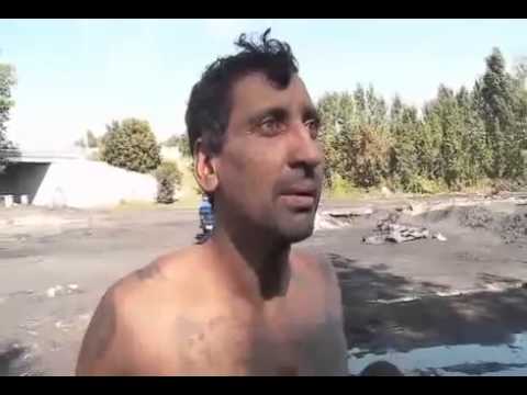 Co tutaj robicie ? Bagno
