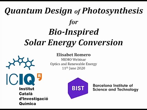 Quantum design of Photosynthesis for Bio-inspired Solar-Energy Conversion