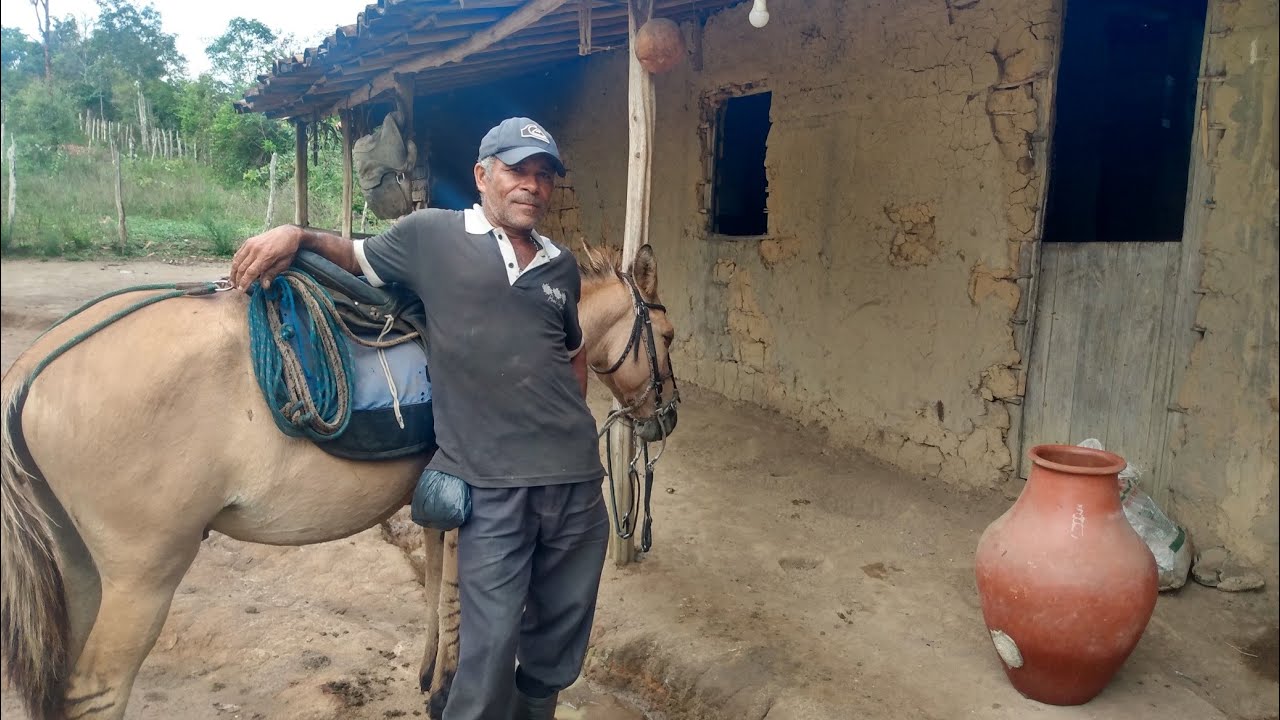 SEM ESTRADA,  SEU ANTÔNIO TRANSPORTA QUASE TUDO EM SEU BURRINHO!