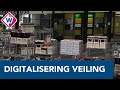 Kwekers tegen honderd procent digitalisering veiling - OMROEP WEST