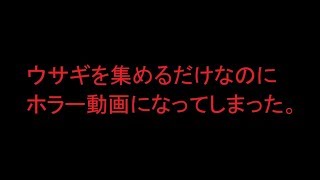 脱出ゲームじゃなくなってる笑『Dinner』スマホゲーム実況　後編
