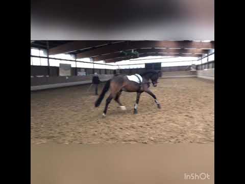 Million Performance v. Million Dollar Longe